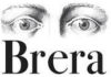brera_logo brera_logo